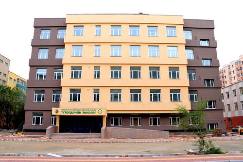 Тогонд цохиулсан эмэгтэй Түлэнхийн төвд эмчлүүлж байна